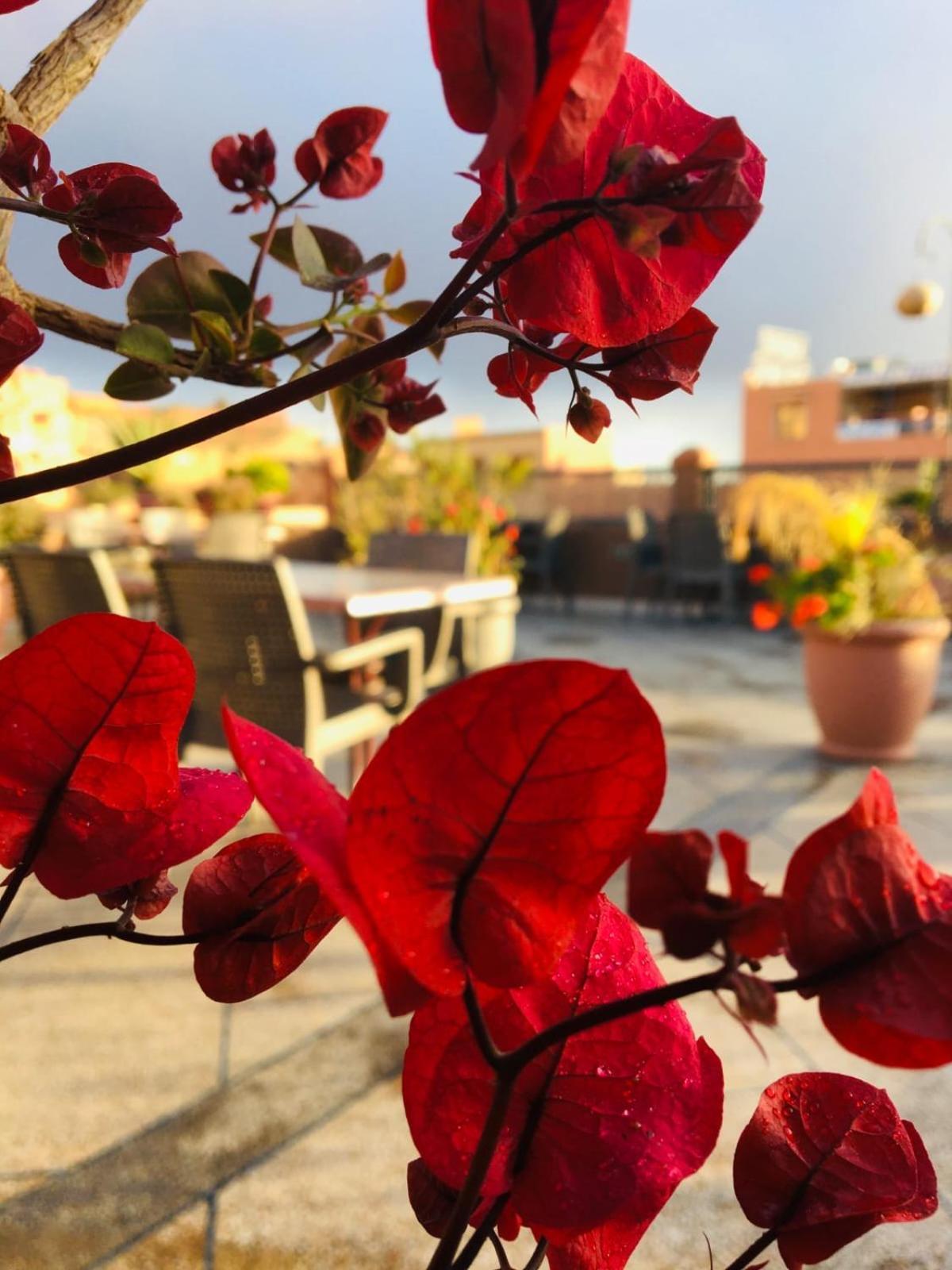 Hotel Riad Atlas Dades Boumalne المظهر الخارجي الصورة